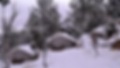 Mukteshwar Camping Near Nainital.webp